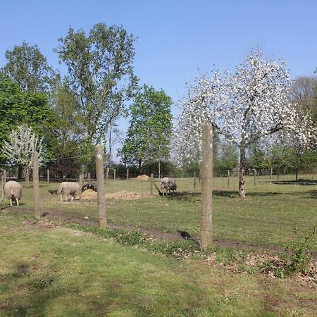 Beej Potters Bed and Breakfast Weert Exteriör bild