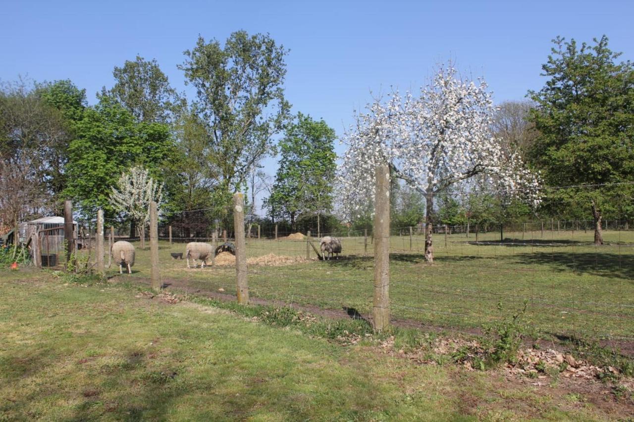 Beej Potters Bed and Breakfast Weert Exteriör bild